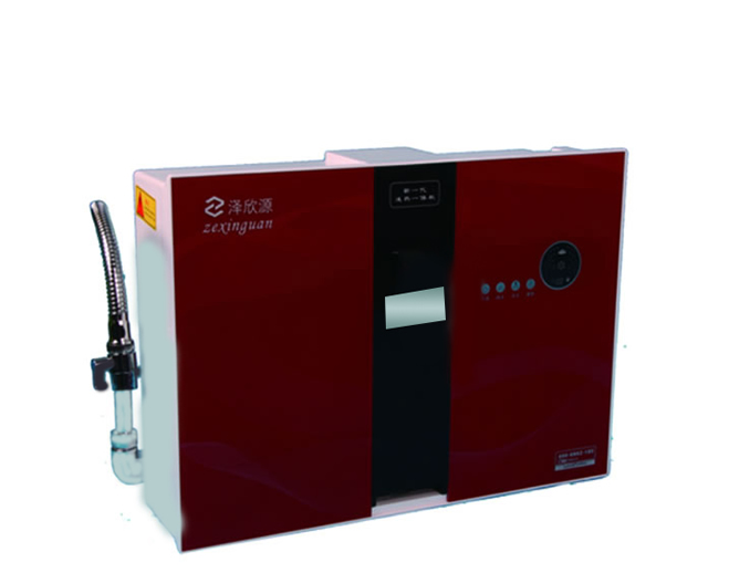 家用型双出水冷热磁化净水器